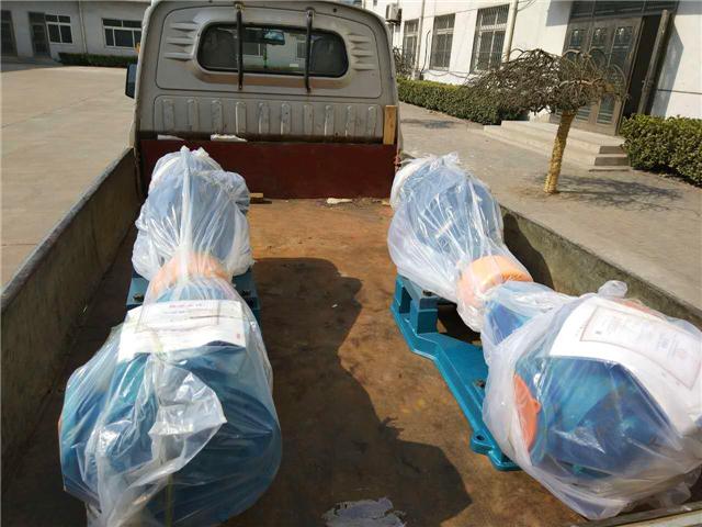 高粘度泵 高粘度泵