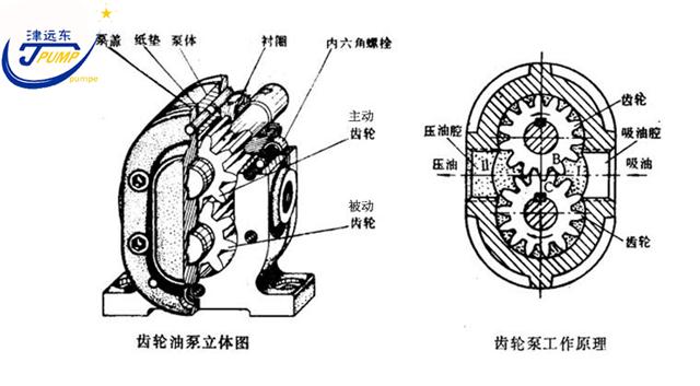 2CG硬齿面渣油泵剖析图 2CG硬齿面渣油泵剖析图